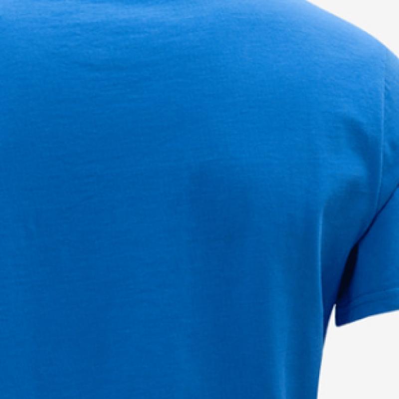 Puma Galleria Puma Round Neck Short Sleeve Training Wear Team Goal Casual Blue