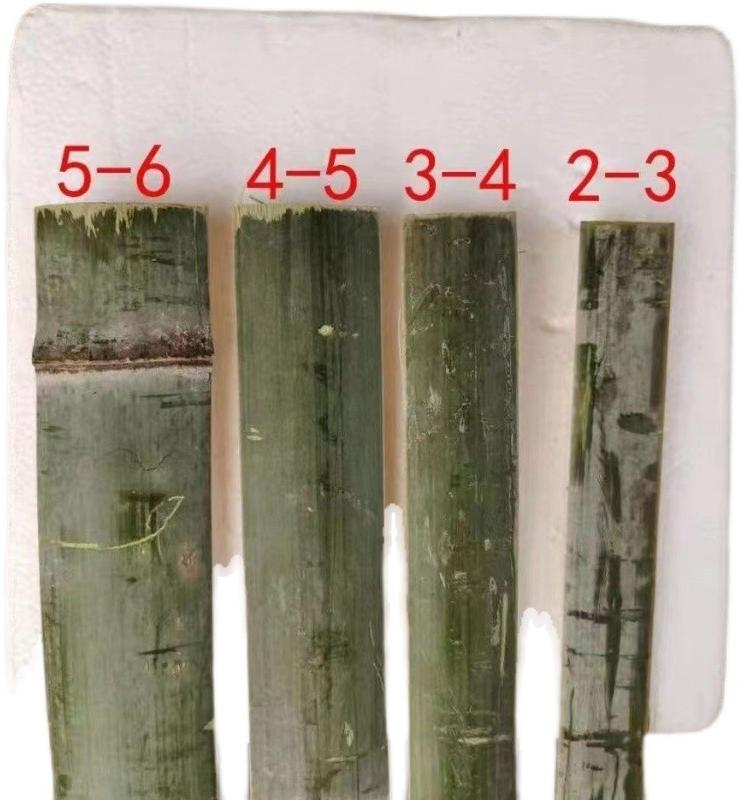 Moso Bamboo Slats for Greenhouse, Shed, and Garden Fencing