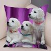 Office Living Room Home Pillowcase Pet Labrador Pattern Pillowcase Car Ornaments