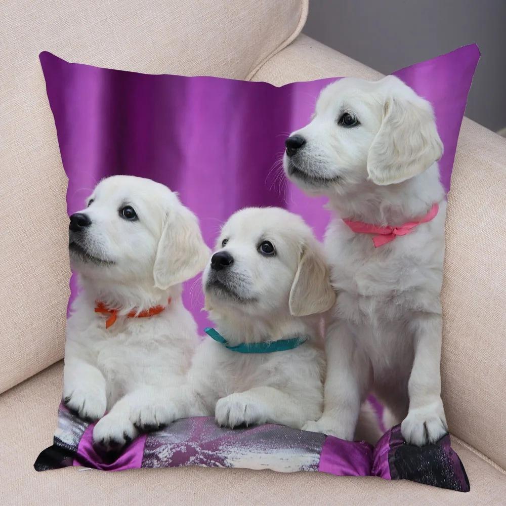 Office Living Room Home Pillowcase Pet Labrador Pattern Pillowcase Car Ornaments