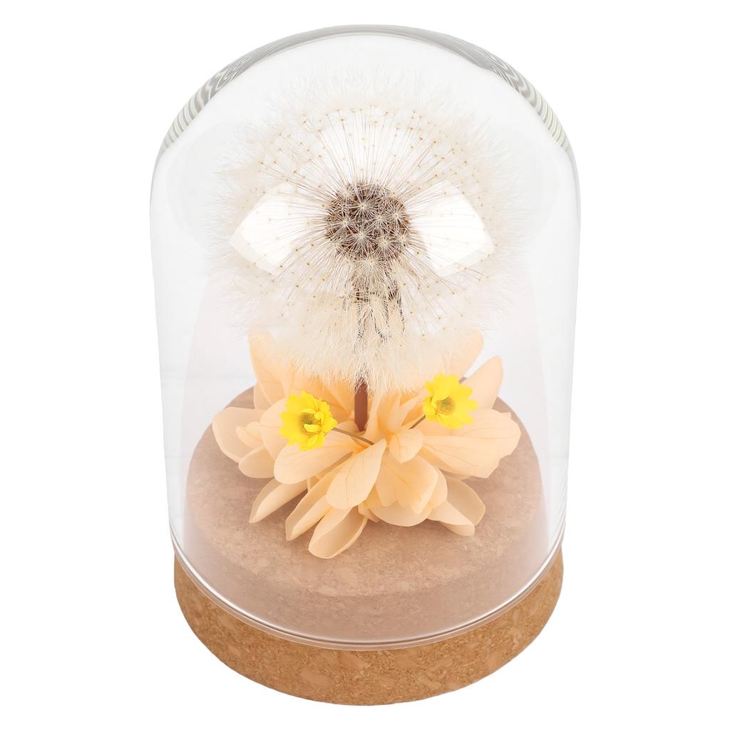 Real Dandelion Eternal Flower Natural Elegant Preserved Flower In Glass Dome for Bedroom Living Room Office