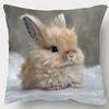 1pc Cute Rabbit Design Pillowcase, Soft, Comfortable, and Smooth-touch Polyester Short Plush Fabric, Single-sided Print, Does Not Include Pillow Inser