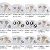 3pcs Nail Art Charms Bows Nail Rhinestones Charms Bowknot Crystal Nail Gems Nail Art Decorations for Acrylic Nails