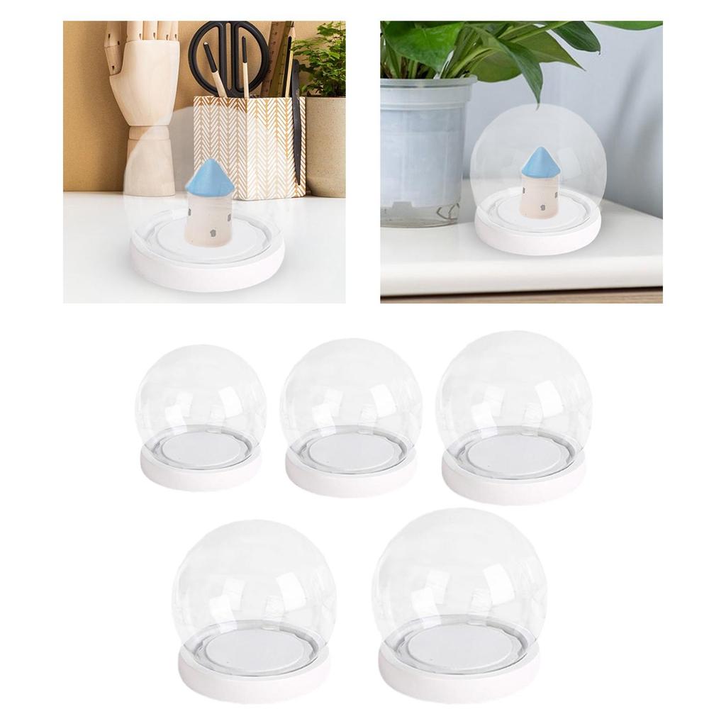 Klare Glaskuppel mit Basis Glas Pflanzen-Terrarium Behälter Glas für Andenken Frauen Tischaufsatz