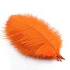 10Pcs Ostrich Feathers Decorative Vase Pluma Wedding Table Centerpieces Carnival Accessories DIY Creative Leisure Craft Supplies
