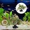 Plastic Aquarium Decoration Fish Tanks Artificial Plant Water Plant Home Decoration