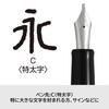 PILOT Custom Heritage 912 Fountain Course C Broad Black FKVH2MRBC Pen, (Extra Nib),