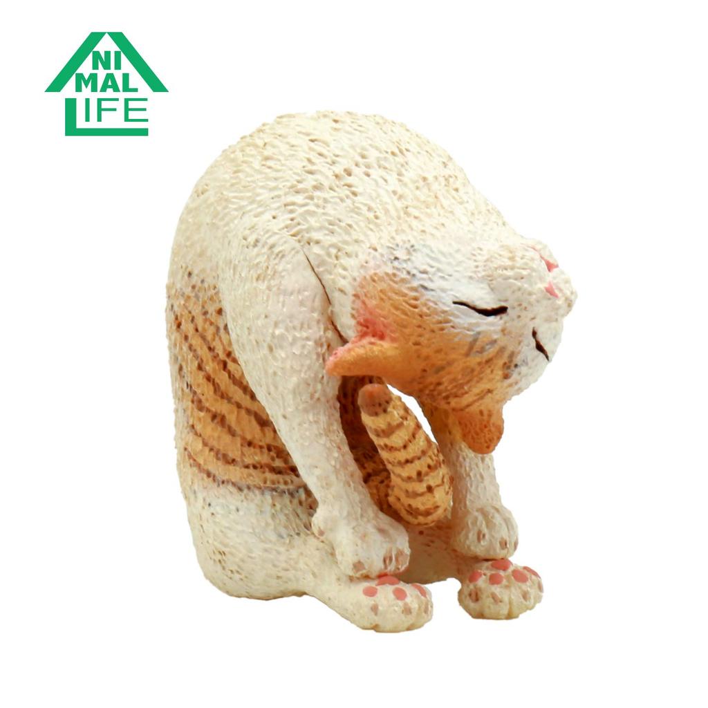 ANIMAL LIFE Yoga Cat 1BOX (8 Pieces)