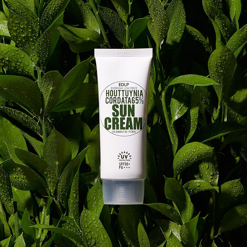 Derma Factory EDLP Houttuynia Cordata 65% Sun Cream SPF50+ PA+++ – Hydrating Mixed UV Filter, Lightweight & Mild Vegan Sunblock, Korean