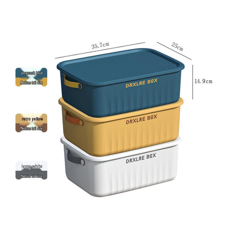 Desktop Plastic Storage Basket with Lid for Jewelry, Cosmetics, and More