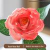 Handcrafted Ceramic Flowers, Preserved & Artificial Bouquets, Home Décor, Display Items, Travel Souvenirs, and Cultural Gifts.
