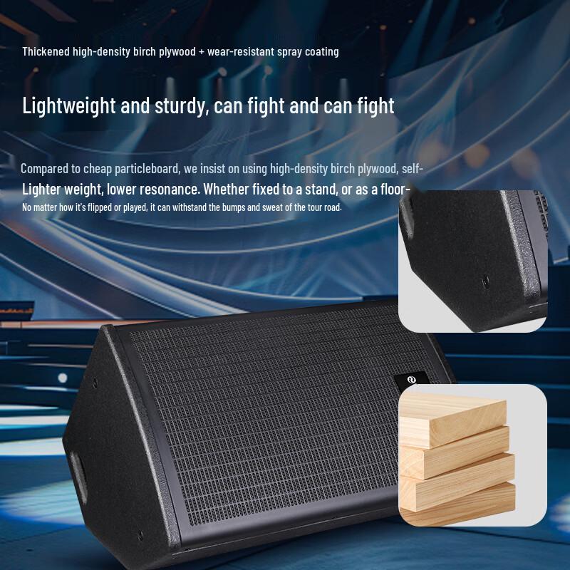Shangshitong SST-FT12 Professional Stage Monitor Speaker (CN version)
