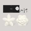 Donggubat White Bloom Perfume Bar Set  Housewarming Friend Gift Set
