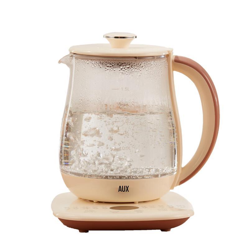 Shangqi Multifunctional Electric Health & Tea Kettle