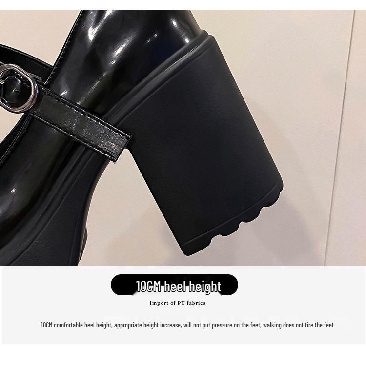 2023 Women's Retro Mary Jane Chunky Heel Leather Shoes - Height Boosting French Fashion