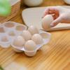 Portable Camping Eggs Boxes Carriers 6 Grid Eggs Holder Container Outdoor Camping Eggs Holder Storage Box Durable
