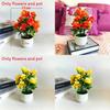 Artificial Plant For Decorative Centerpiece
