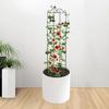 Metall Hageespalier Klatreplanter Ramme Espalier Dekorativ Plantestøtteramme for Klematis Roser Utendørs Innendørs Bruk
