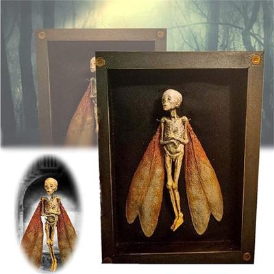 Cursed Items  Dead  Shadow Box Display Handmade Creepy Mummified  Corpse  Art Ornament