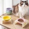 Pet Ceramic Bowl with Flower Lace Stable Base Acrylic Bowl Stand Anti-Tip Design