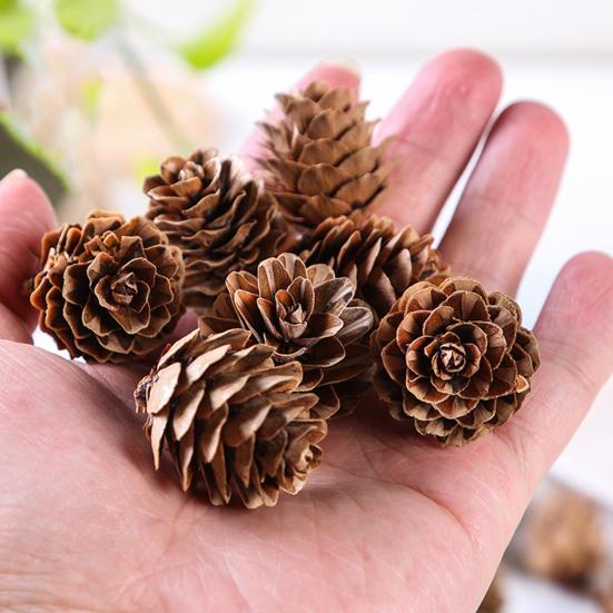 20Pcs Attractive Fake Pine Cone Widely Use Natural Decorative DIY Simulation Pinecone for Festival