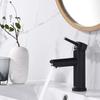 TLXT Bathroom Sink Faucet
