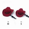 Pet Hat Dog Western Cowboy Hat Pet Triangle Scarf  Photo Prop PetAccessorie E