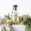 Bench Spray 500ml Sydney Peppermint   Rosemary
