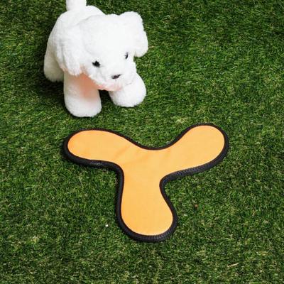 [Evcil Hayvan] Boomerang Oyuncak