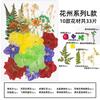 Natural Dried Flowers Pack For Diy Resin Pressed Flower Art