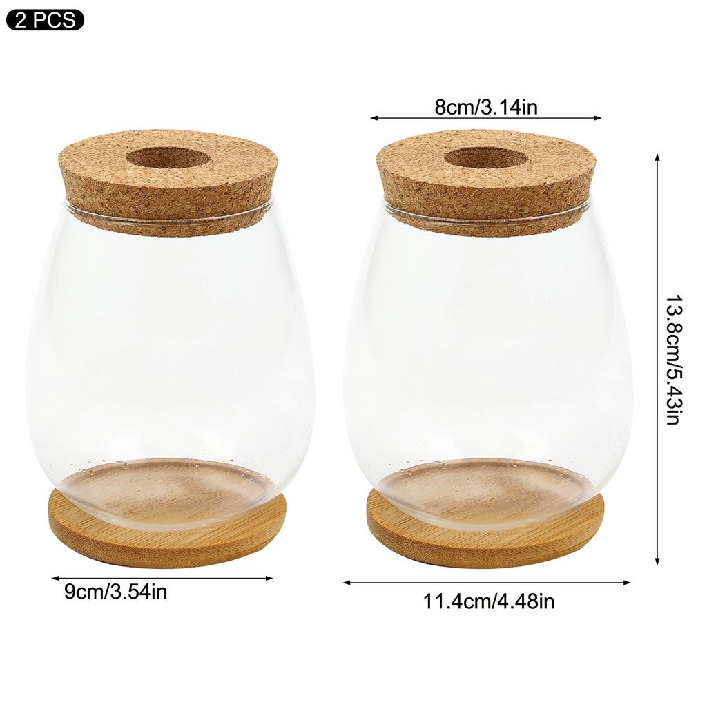 Plant Terrarium Transparent Vase Desktop Propagation Stations Glass Planter For Office Home Garden Decor