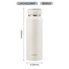 LOCK&LOCK Fresh Portable Insulated Bottle