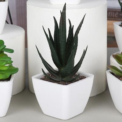 Mini Artificial Aloe Plants Bonsai Immortal Finger Gemstone Flower Pot Plants Fake Flowers Office Table Potted Ornaments Decor