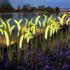 Crossled Outdoor Solar Dandelion Stake: Colorful Garden Atmosphere Light