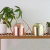 Rose Gold Stainless Steel Watering Can with Spout, Retro Style, 1000ML for Succulents and Green Plants