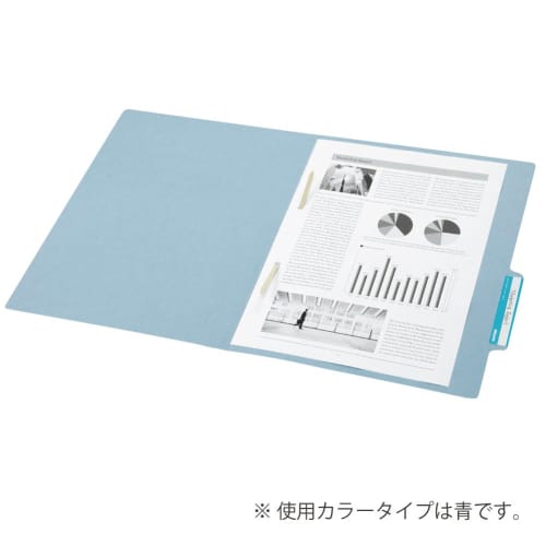 KOKUYO File Individual Folder Economy Type A4 10 Books Blue A4-SIF-B