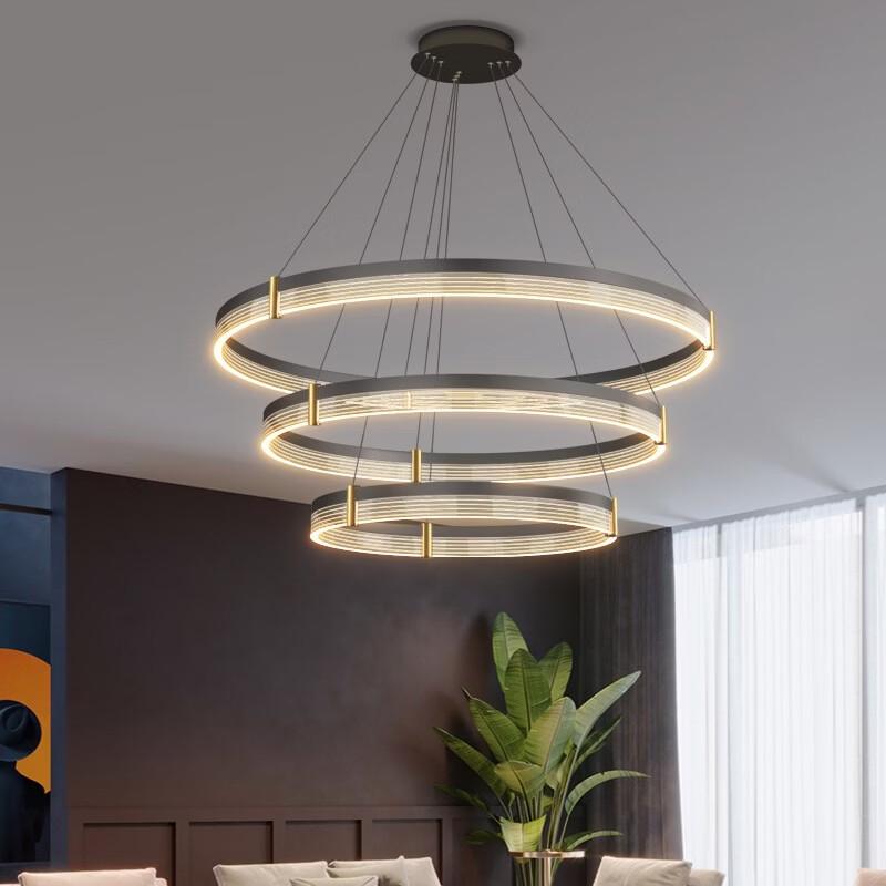 Oeny Modern Double Circle LED Chandelier