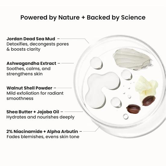 WildOak Dead Sea Mud Face Mask | Detox & Purifying Clay Mask with Niacinamide & Alpha Arbutin | Fights Blackheads, Blemishes & Aging | 100g