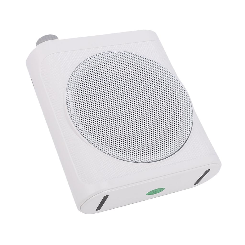 Wireless Voice Amplifier with 2 Lavalier Mics Bluetooth Magnetic Wireless Lavalier Microphone for Classroom Meetings