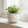 3D Printed Cute Pig Planter Cartoon Animal Shaped Cactus Flower Pot with Drainage Hole for Home Office Desk Decor