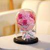 Glass Cover Rose Lantern Qixi Festival Valentine's Day Gift Immortal Bouquet Gypsy Dried Flowers Carnations Teachers' Day