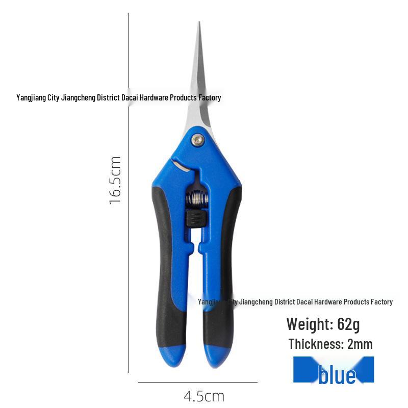 

Stainless Steel Fruit and Flower Thinning Shears for Goji Berry, Orange, Grape, and Orchard Pruning.