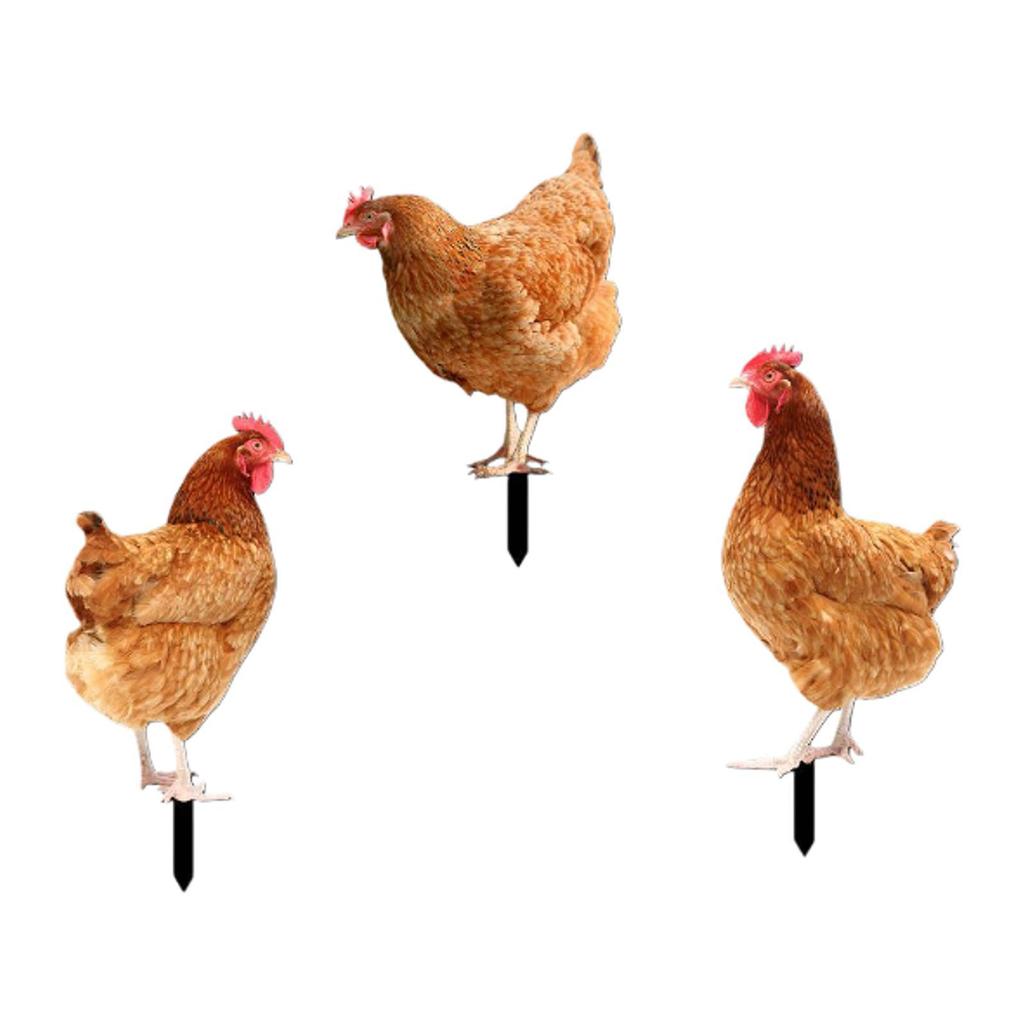 Garden Stakes Decoration Easy To Use Artwork Ornaments Acrylic Figurine Chicken Sculpture for Backyard Patio Garden Porch Fence