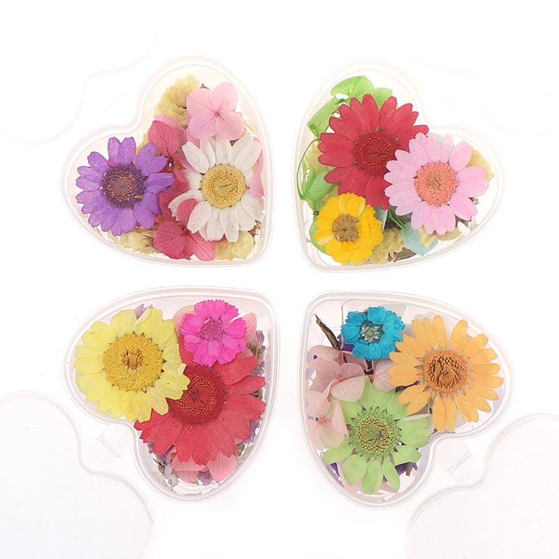 Buy Natural Dried Flowers For Resin Jewellery Making Nail Art Craft Diy
