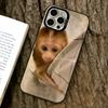 Little Monkey  Phone Case For iPhone 17,16,15,14,13,12,11 Plus,Pro Max,XS,Colorful Silver Phone Case Funda Cover