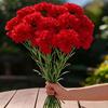 5Pcs Garden Wedding Decoration White Carnation Artificial Flowers Bouquet For Home Room Decor Diy Vase Ornament Fake Flower