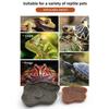 New Plastic Turtle Water Basin Double-sided Use Stepped Design Frog Bathing Basin Multi-size Pet Food Bowl Reptile Habitat