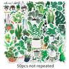 50 plants - 275