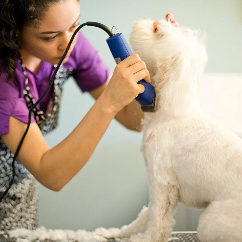 Professional Pet Clipper Replacement A5 Blade Compatible With Most Andis/ Oster A5/Wahl KM Series Dog Cat Clippers