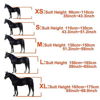 Padded Horse Halter 25mm Wide PP Webbing Metal Buckle Soft Padded Horses Halter